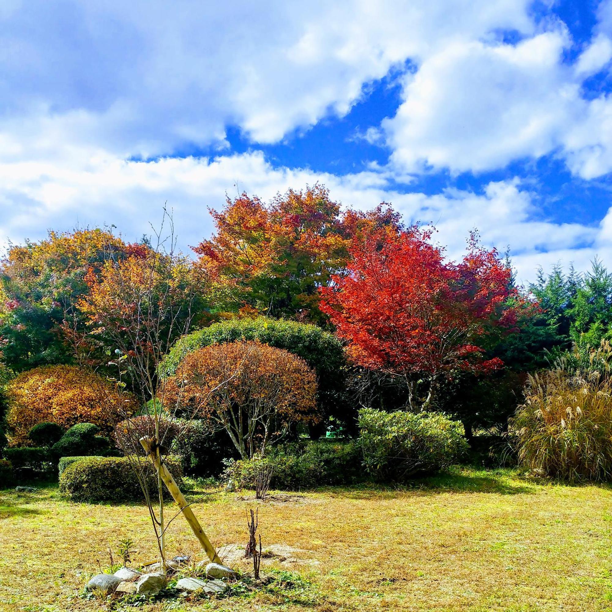 Penzion さいの郷「椛」 Kagamino Exteriér fotografie